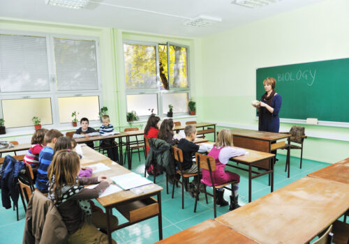 montessori schools